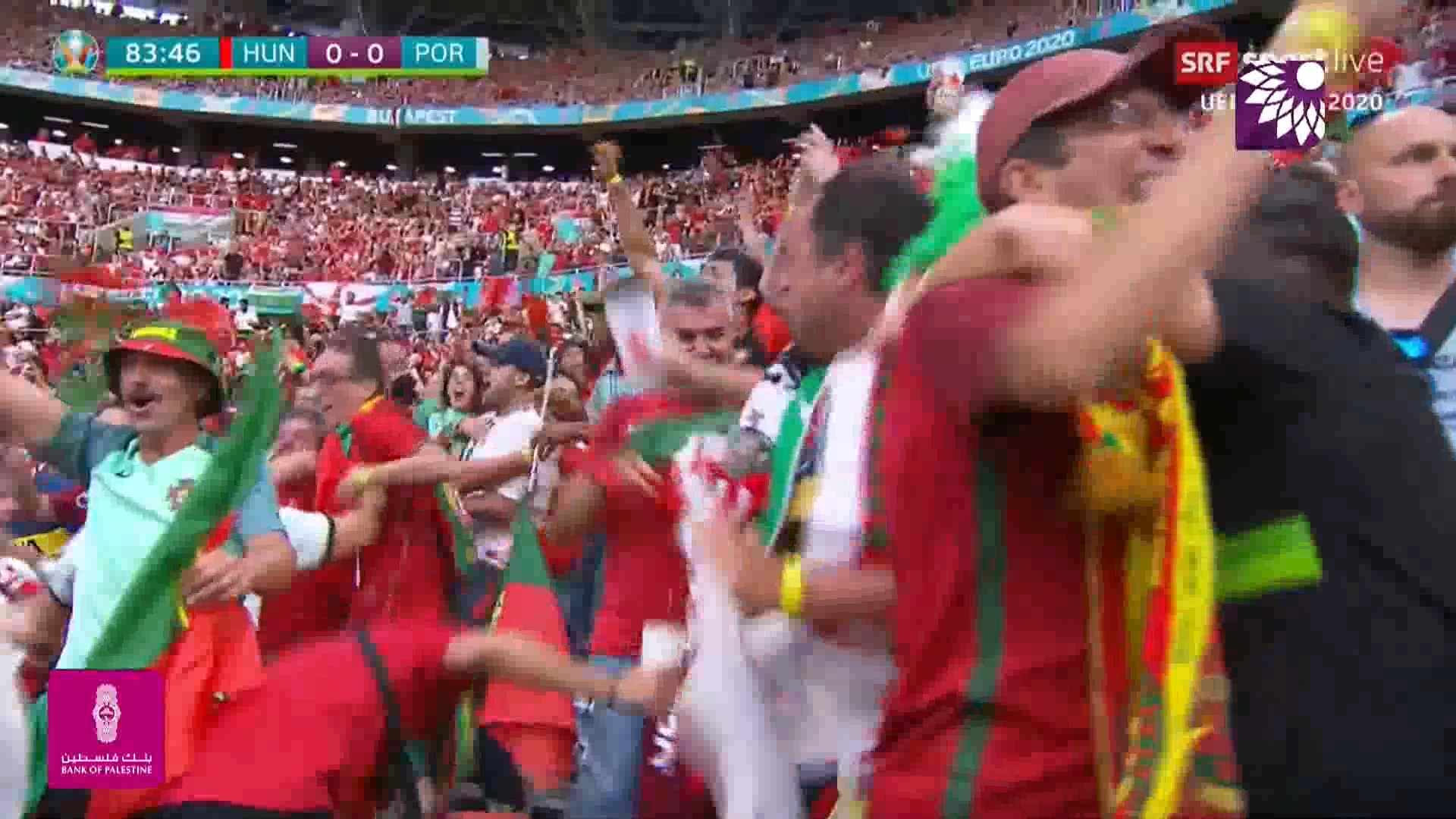 شاهد الهدف الاول (1-0 ) لصالح البرتغال في شباك المجر