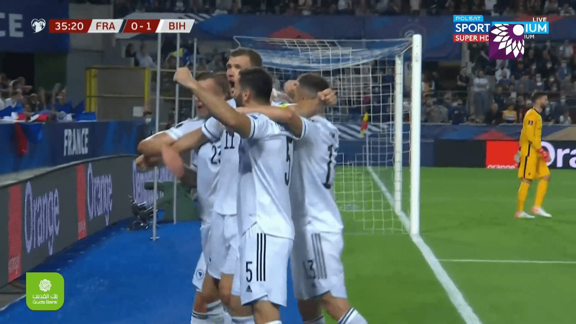شاهد الهدف الاول (1-0) لصالح البوسنة والهرسك في شباك فرنسا